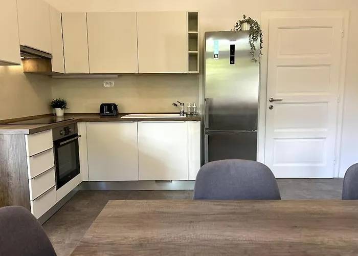 Luxury Privoz Apartment *